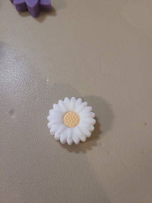 Gänseblümchen weiss