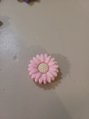 Gänseblümchen peach