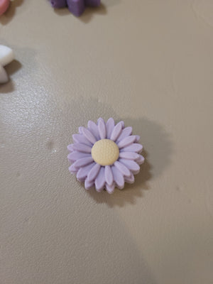 Gänseblümchen flieder