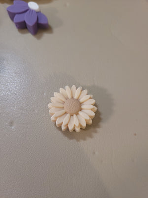 Gänseblümchen beige
